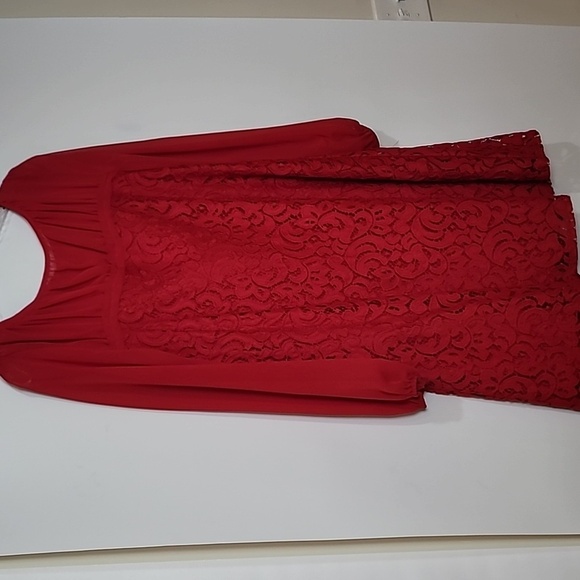 Anthroplogie - Taylor ~ Red Lace Dress - Picture 11 of 15